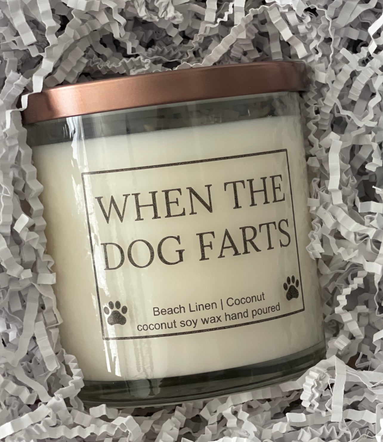 When The Dog Farts