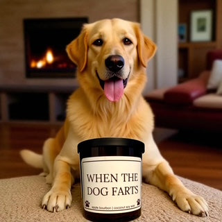 When The Dog Farts